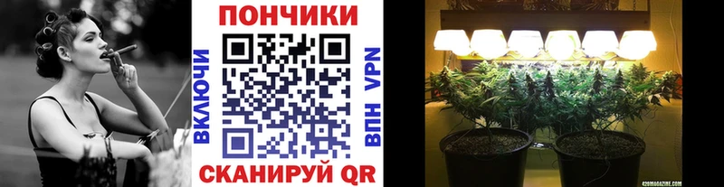 Купить наркотики сайты Дмитриев Гашиш  МДМА  Мефедрон  А ПВП  Марихуана  Кодеин  Кокаин 