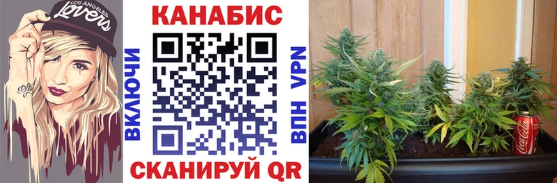 Канабис MAZAR Дмитриев